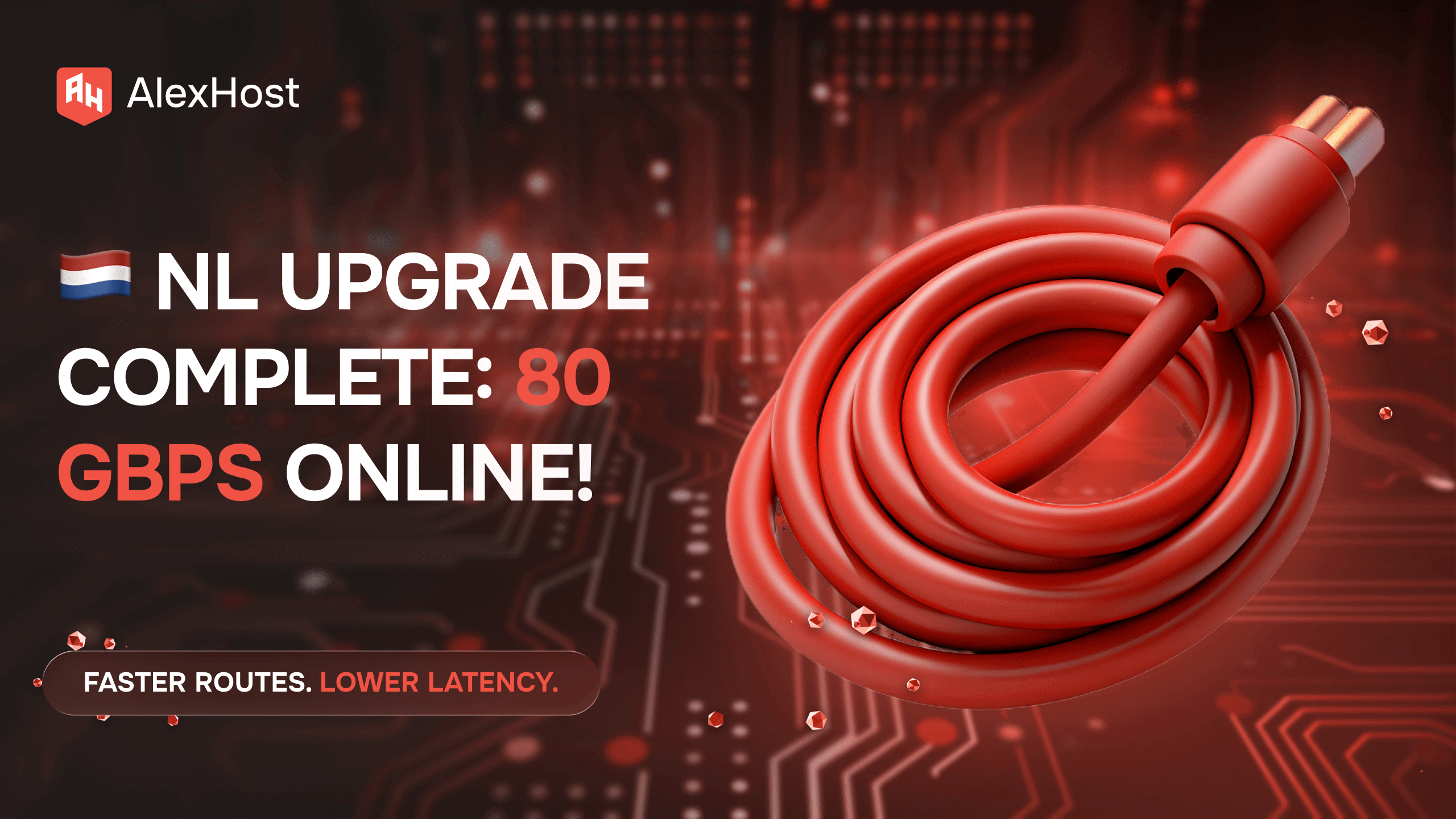 🚀Expanding Our Network Power in the Netherlands: Upgrading VPS Connectivity to 80 Gbps! 🇳🇱