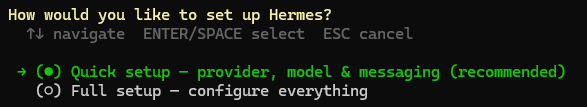 Hermes Setup-Methoden-Bildschirm mit ausgewähltem Quick Setup