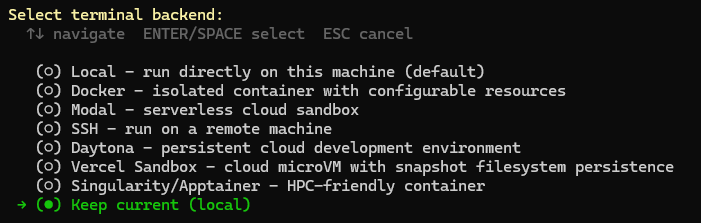 Hermes Terminal-Backend-Auswahl mit hervorgehobenem „Keep current (Local)