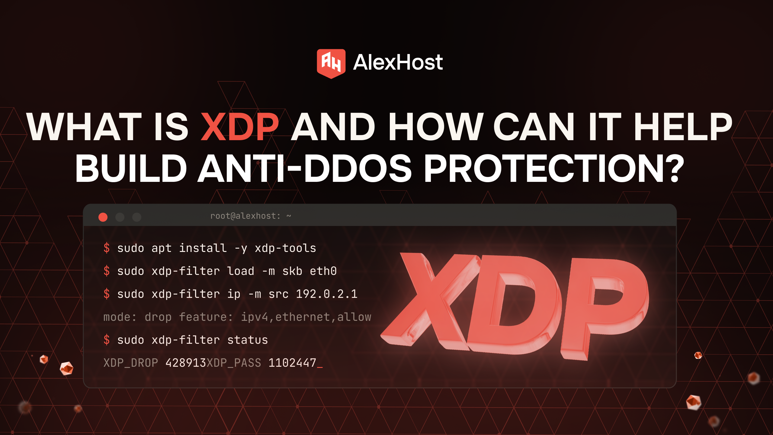 What Is XDP and How Can It Help Build Anti-DDoS Protection?